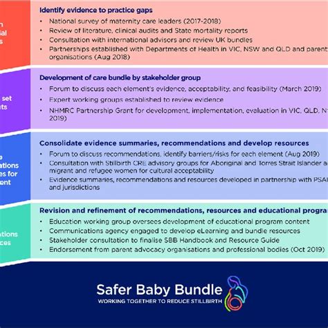 The five elements of the Safer Baby Bundle. | Download Scientific Diagram