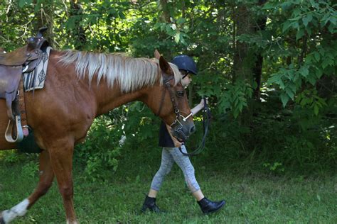 Horseback Riding Camp | Sleep Away Camp | English | Western — Camp Birchwood