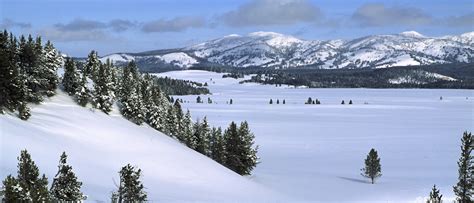 Winter in Yellowstone - Yellowstone Winter