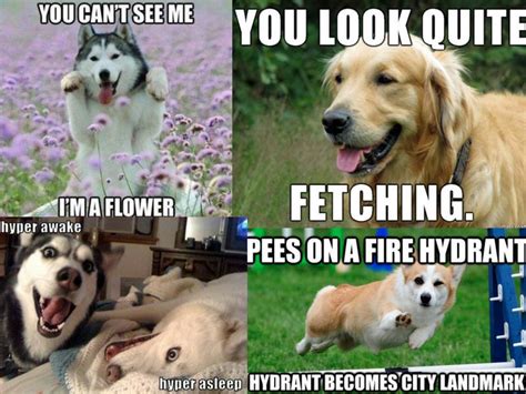 Funny Puppy Memes For Kids