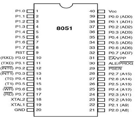 numara expunere Distinge 8051 pin diagram Afirma Cimitir Wow