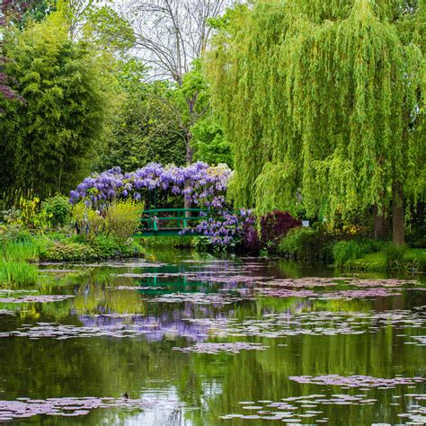 Garten Monet