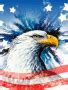 American eagle Picture #75242300 | Blingee.com