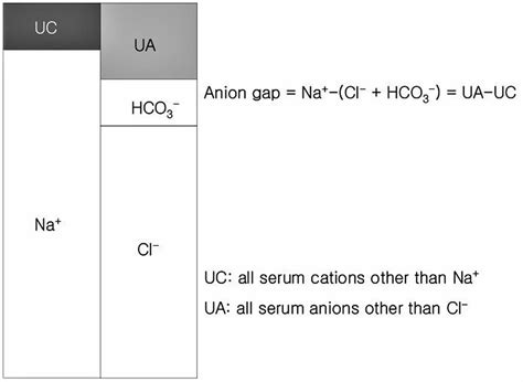 Anion gap calculation, anion gap blood test & causes of high or low anion gap