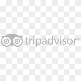 Tripadvisor Logo White Png, Transparent Png - vhv