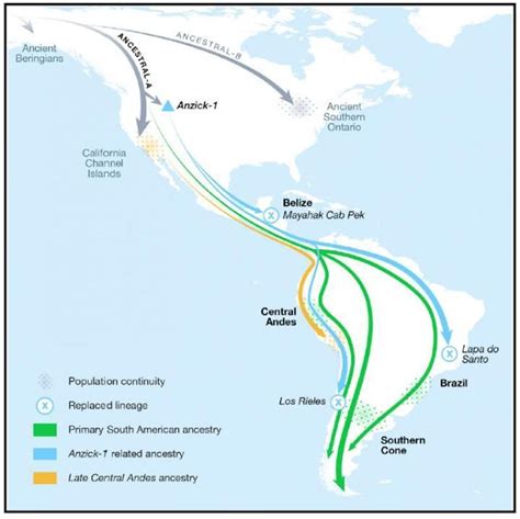 Ancient DNA Maps Early American Migrations in New Detail | The ...