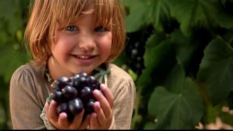 Welch's Grape Juice TV Spot, 'Every Grape Connected' - iSpot.tv