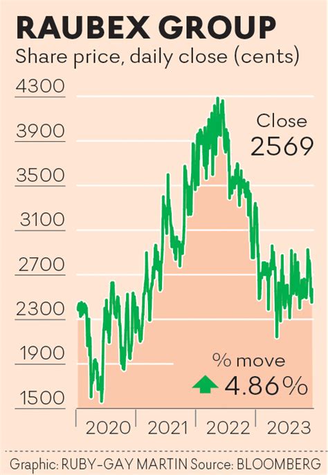 Raubex share price leaps on earnings improvement