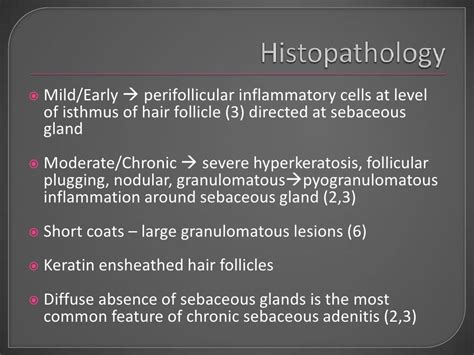 Sebaceous Adenitis