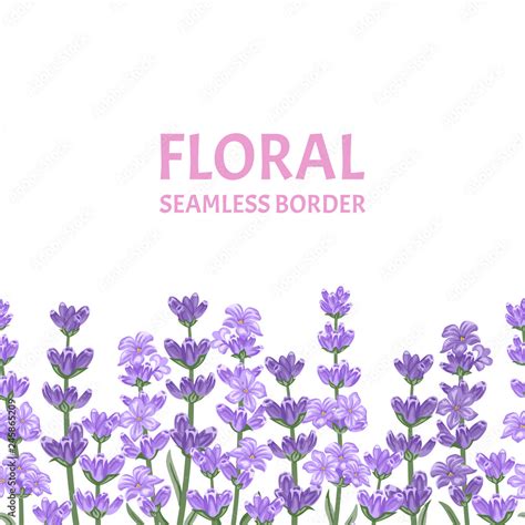 Lavender seamless pattern. Horizontal border with violet flowers ...