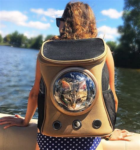 This Adorable Cat Backpack Will Change Your Life (And Your Cat's) | Cat backpack, Cat carrier ...