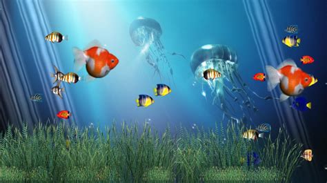 Download Full HD 3D Aquarium Wallpapers