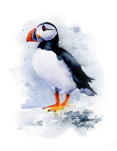 Puffin Art Print Watercolor Painting by Artist DJ Rogers - Etsy