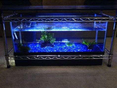 Spectacular DIY Fish Tank Coffee Table - Free Guide and Tutorial