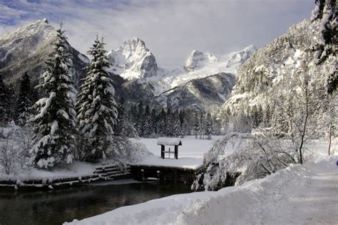 Free Images : landscape, tree, water, nature, snow, cold, sky, white, lake, frost, atmosphere ...