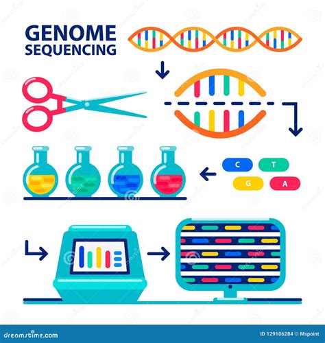 Dna Sequencing Genome Information Saving Vector Illustration ...