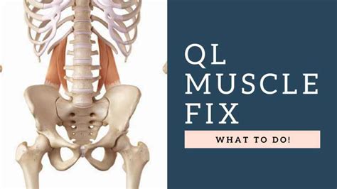 Quadratus Lumborum QL Muscle Pain Relief / Best Treatment