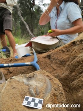 Keeping your hands clean in the field - Diprotodon.com