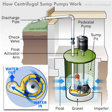 What Kind Of Sump Pump Do I Need at Patricia Edgar blog