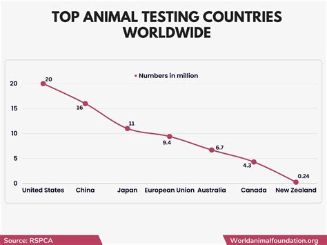 Animal Testing Statistics - Eye-Opening Facts You Must Know!