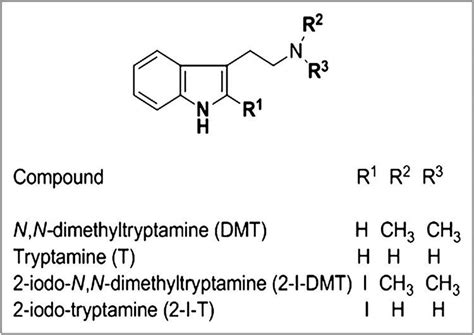 N,N Dimethyltryptamine - Alchetron, The Free Social Encyclopedia