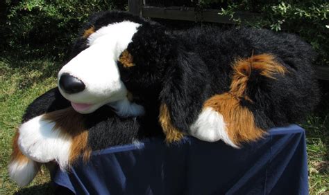 Costco Plush GIANT Bernese Mountain Dog JUMBO-Size Berner Sennenhund 60 ...