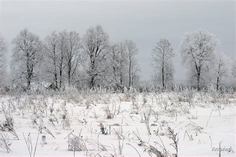 "Grassland in winter time" by Antanas | Redbubble