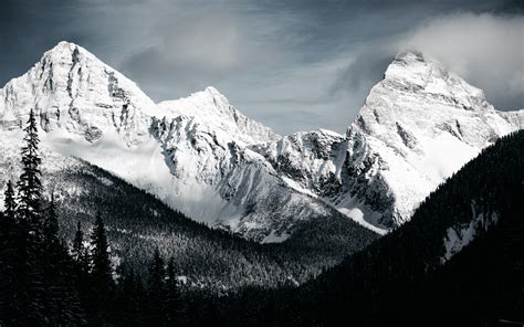 1920x1200 Resolution Stone Mountains Snow In Monochrome 1200P Wallpaper ...