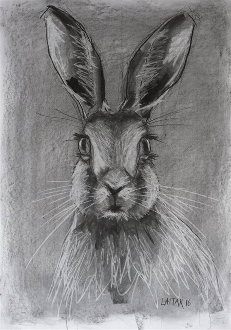 March Hare Drawing by Ron Laitak | Saatchi Art