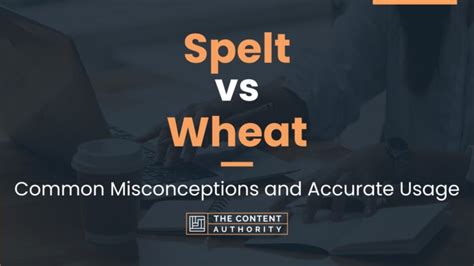 Spelt vs Wheat: Common Misconceptions and Accurate Usage