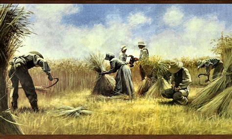 Wheat Harvest 2, art, harvest, wheat, painting, wide screen, scenery, artwork, HD wallpaper | Peakpx