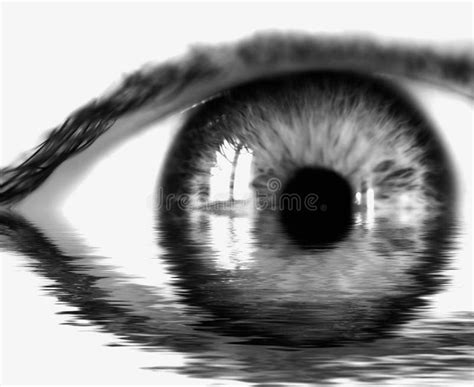 BW reflection eye stock image. Image of eyebrow, design - 551295