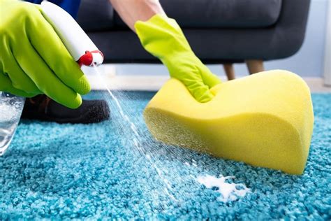 How to Clean up Vomit from Carpet - Renew Carpet Cleaning