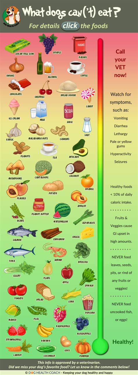 Is Bread Healthy For Dogs