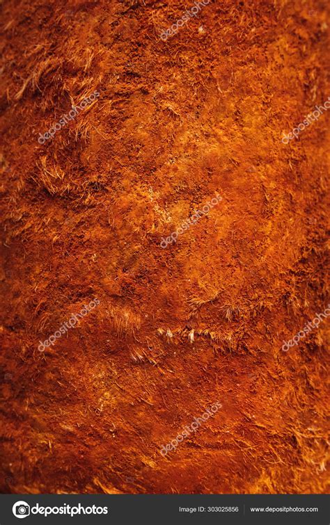 Abstract Rawhide Raw Leather Texture Background Pattern Surface Sheep ...