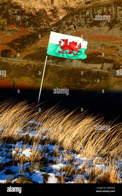 Welsh flag pole hi-res stock photography and images - Alamy