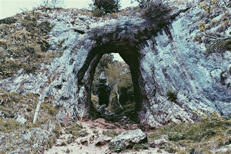 Free Images : tree, nature, path, grass, rock, trail, hole, formation ...