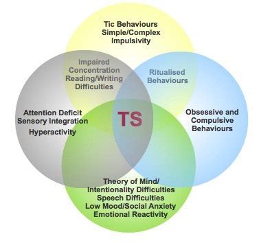 Tourette Syndrome Symptoms & Treatment for Tourette's