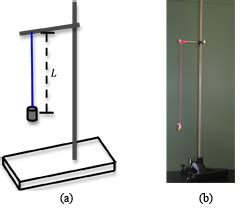 Physical Pendulum Experiment