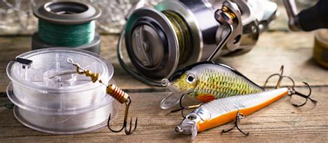 16 Essential Fishing Equipment & Gear for Beginners | Academy