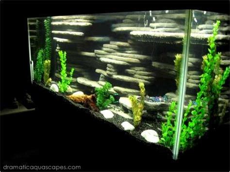 9 DIY Aquarium Backgrounds You Can Start Today - Learn How