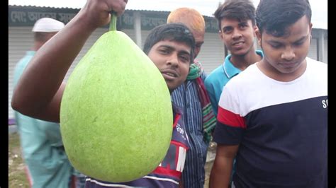 Farmers Market In Bangladesh | Travel Bangla 24 | Village Vegetables Market - YouTube