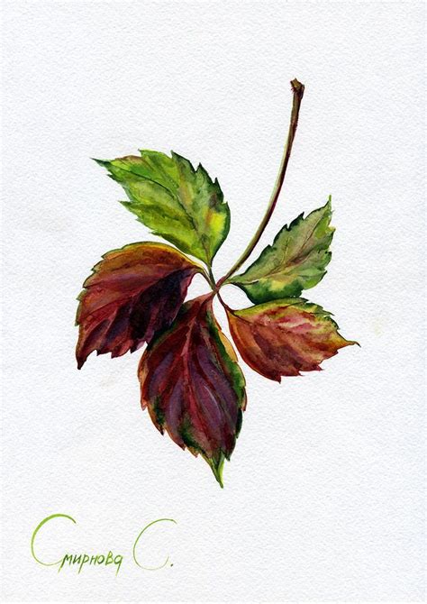 Grape, leaves, Watercolor Original Painting from the Artist | Watercolor flowers, Watercolor ...