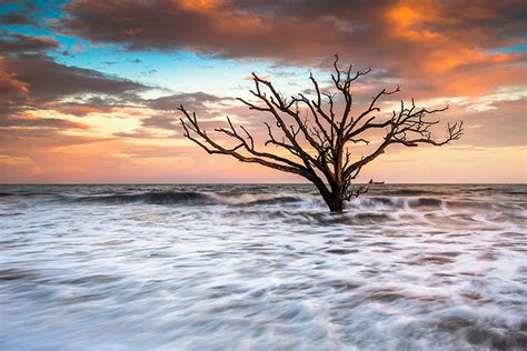 Boneyard Beach Sunset Edisto Island Charleston SC Sunset Landscape ...