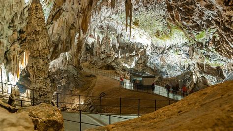 Postojna Cave - Wikipedia