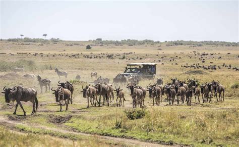 Kenya's Most Stunning Travel Locations | IBMC