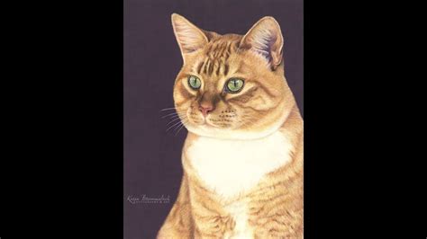 Speed Drawing a Cat in Colored Pencil | Time Lapse - YouTube