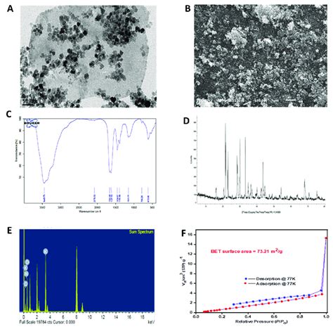 Characterization of chitosan nanoparticles fabricated by Penicillium... | Download Scientific ...