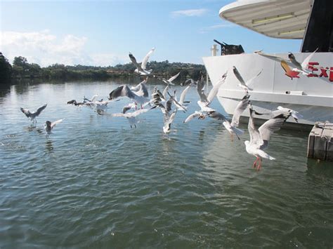 Nasi Lemak Lover: Crab catching cruise & Peter's fish market, Gold Coast Australia