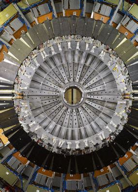 Large Hadron Collider latest news, findings, research | Express.co.uk